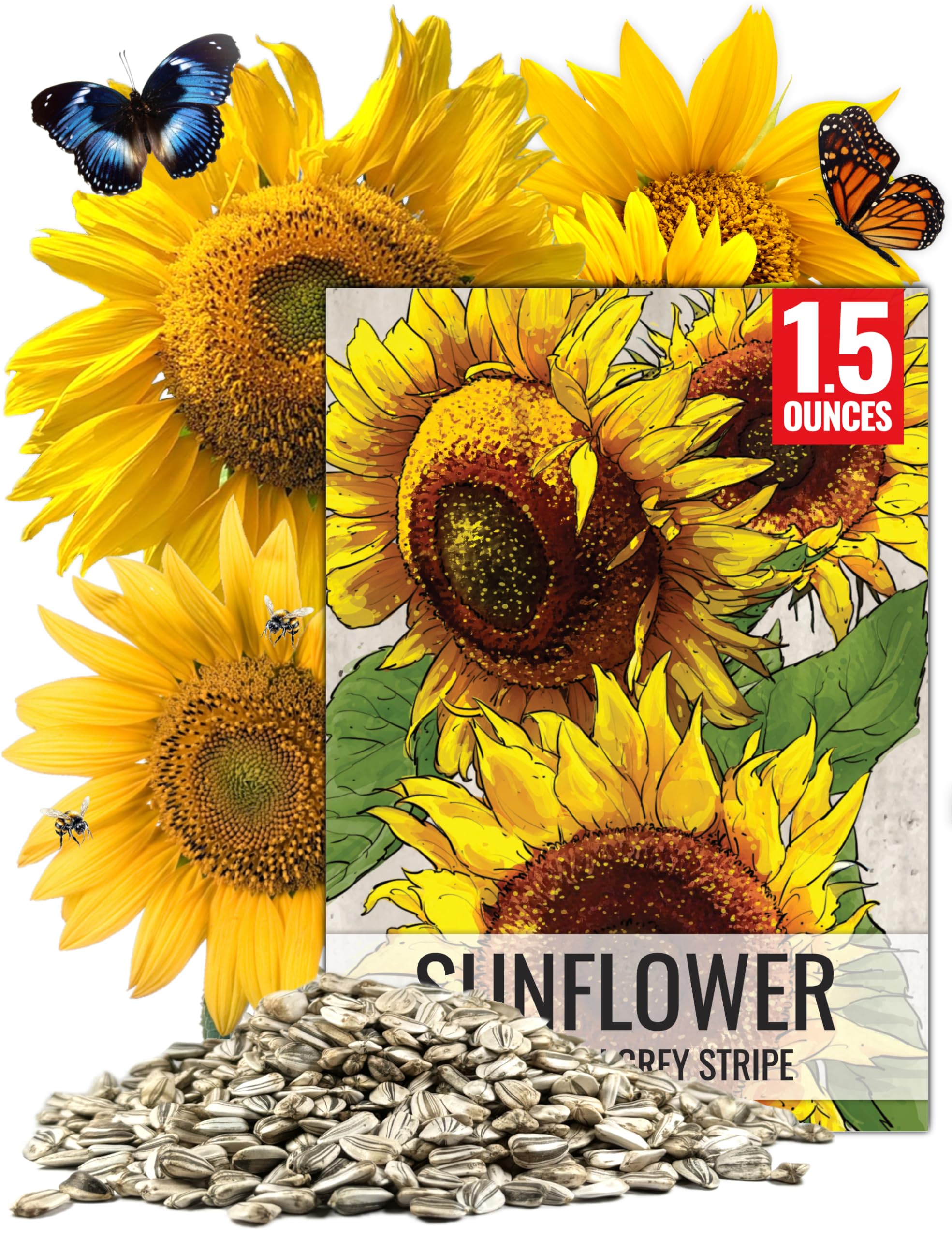 Amazon.com : Seed Needs Sunflower Seeds to Plant Mammoth Grey